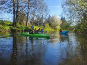 WhatsApp Image 2021-05-10 at 05.43.18.jpeg